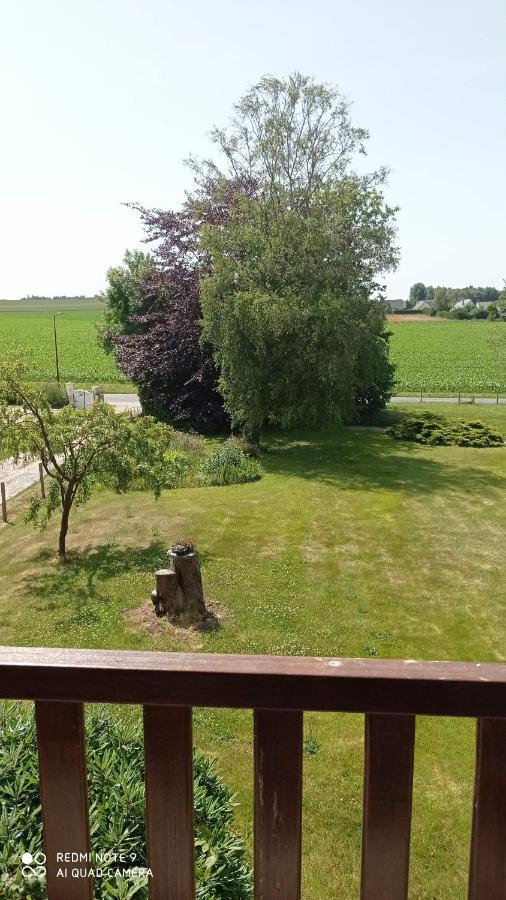 La Bella 12 - Appartement Gite Dans Maison D'Hotes Bordeaux-Saint-Clair Exteriér fotografie