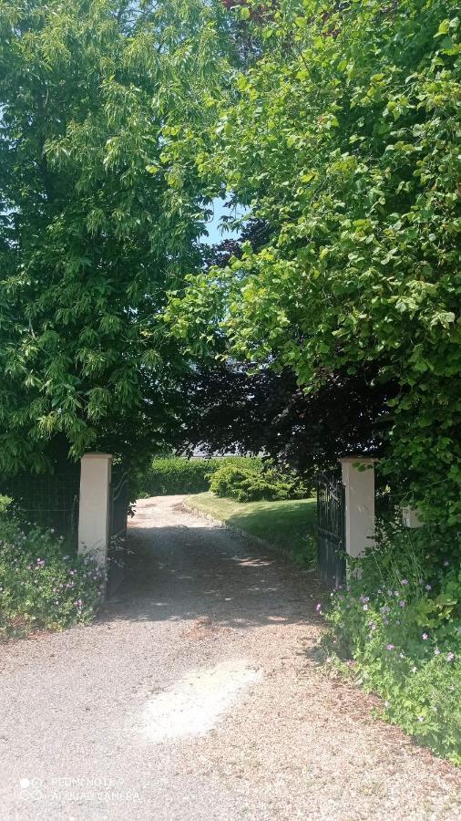 La Bella 12 - Appartement Gite Dans Maison D'Hotes Bordeaux-Saint-Clair Exteriér fotografie
